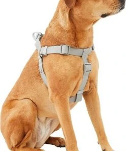 Frisco Outdoor Solid Textured Waterproof Stink Proof PVC Harness, Storm Gray, Medium, Neck: 16 to 22-in, Girth: 19 to 29-in + Dog Leash, Storm Gray, Medium - Length: 6-ft, Width: 3/4-in 13 Frisco Outdoor Solid Textured Waterproof Stink Proof PVC Harness, Storm Gray, Medium, Neck: 16 to 22-in, Girth: 19 to 29-in + Dog Leash, Storm Gray, Medium - Length: 6-ft, Width: 3/4-in -Frisco Sales 2024 319366 PT2. SY630 V1631140305