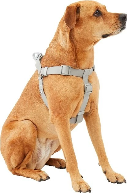 Frisco Outdoor Solid Textured Waterproof Stink Proof PVC Harness, Storm Gray, Medium, Neck: 16 to 22-in, Girth: 19 to 29-in + Dog Leash, Storm Gray, Medium - Length: 6-ft, Width: 3/4-in 5 Frisco Outdoor Solid Textured Waterproof Stink Proof PVC Harness, Storm Gray, Medium, Neck: 16 to 22-in, Girth: 19 to 29-in + Dog Leash, Storm Gray, Medium - Length: 6-ft, Width: 3/4-in - Image 3