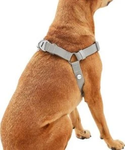 Frisco Outdoor Solid Textured Waterproof Stink Proof PVC Harness, Storm Gray, Medium, Neck: 16 to 22-in, Girth: 19 to 29-in + Dog Leash, Storm Gray, Medium - Length: 6-ft, Width: 3/4-in 14 Frisco Outdoor Solid Textured Waterproof Stink Proof PVC Harness, Storm Gray, Medium, Neck: 16 to 22-in, Girth: 19 to 29-in + Dog Leash, Storm Gray, Medium - Length: 6-ft, Width: 3/4-in -Frisco Sales 2024 319366 PT3. SY630 V1631141783