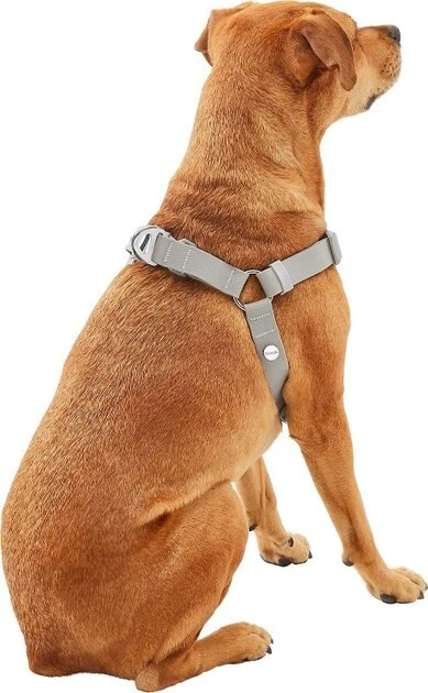 Frisco Outdoor Solid Textured Waterproof Stink Proof PVC Harness, Storm Gray, Medium, Neck: 16 to 22-in, Girth: 19 to 29-in + Dog Leash, Storm Gray, Medium - Length: 6-ft, Width: 3/4-in 6 Frisco Outdoor Solid Textured Waterproof Stink Proof PVC Harness, Storm Gray, Medium, Neck: 16 to 22-in, Girth: 19 to 29-in + Dog Leash, Storm Gray, Medium - Length: 6-ft, Width: 3/4-in - Image 4
