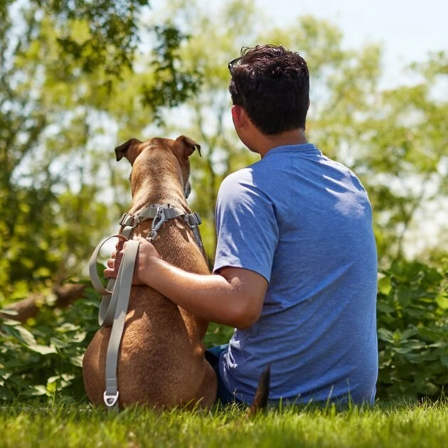 Frisco Outdoor Solid Textured Waterproof Stink Proof PVC Harness, Storm Gray, Medium, Neck: 16 to 22-in, Girth: 19 to 29-in + Dog Leash, Storm Gray, Medium - Length: 6-ft, Width: 3/4-in 11 Frisco Outdoor Solid Textured Waterproof Stink Proof PVC Harness, Storm Gray, Medium, Neck: 16 to 22-in, Girth: 19 to 29-in + Dog Leash, Storm Gray, Medium - Length: 6-ft, Width: 3/4-in - Image 9