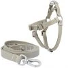 Frisco Outdoor Solid Textured Waterproof Stink Proof PVC Harness, Storm Gray, Small, Neck: 14 to 19-in, Girth: 16 to 23-in + Dog Leash, Storm Gray, Small - Length: 6-ft, Width: 5/8-in -Frisco Sales 2024 319368 MAIN. SY630 V1631154382