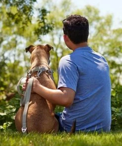 Frisco Outdoor Solid Textured Waterproof Stink Proof PVC Harness, Storm Gray, Small, Neck: 14 to 19-in, Girth: 16 to 23-in + Dog Leash, Storm Gray, Small - Length: 6-ft, Width: 5/8-in -Frisco Sales 2024 319368 PT8. SY630 V1631149569