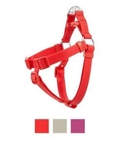 Frisco Outdoor Solid Textured Waterproof Stink Proof PVC Harness, Sunset Orage, Large, Neck: 19 to 27-in, Girth: 23 to 36-in + Dog Leash, Sunset Orange, LG - Length: 6-ft, Width: 1-in -Frisco Sales 2024 319372 PT1. SY630 V1631146002