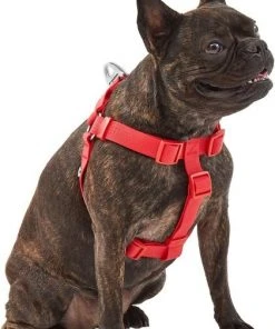 Frisco Outdoor Solid Textured Waterproof Stink Proof PVC Harness, Sunset Orage, Large, Neck: 19 to 27-in, Girth: 23 to 36-in + Dog Leash, Sunset Orange, LG - Length: 6-ft, Width: 1-in -Frisco Sales 2024 319372 PT2. SY630 V1631152598