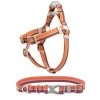 Frisco Outdoor Two Tone Waterproof Stinkproof PVC Harness, Flamepoint Orange, Medium, Neck: 16 to 22-in, Girth: 19 to 29-in + Dog Collar, Flamepoint Orange, Medium - Neck: 14½-20-in, Width: 3/4-in -Frisco Sales 2024 319382 MAIN. SY630 V1631144184