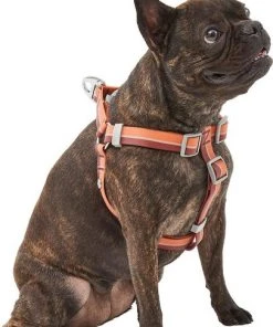 Frisco Outdoor Two Tone Waterproof Stinkproof PVC Harness, Flamepoint Orange, Medium, Neck: 16 to 22-in, Girth: 19 to 29-in + Dog Collar, Flamepoint Orange, Medium - Neck: 14½-20-in, Width: 3/4-in 13 Frisco Outdoor Two Tone Waterproof Stinkproof PVC Harness, Flamepoint Orange, Medium, Neck: 16 to 22-in, Girth: 19 to 29-in + Dog Collar, Flamepoint Orange, Medium - Neck: 14½-20-in, Width: 3/4-in -Frisco Sales 2024 319382 PT2. SY630 V1631145371