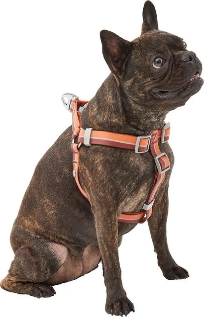 Frisco Outdoor Two Tone Waterproof Stinkproof PVC Harness, Flamepoint Orange, Medium, Neck: 16 to 22-in, Girth: 19 to 29-in + Dog Collar, Flamepoint Orange, Medium - Neck: 14½-20-in, Width: 3/4-in 5 Frisco Outdoor Two Tone Waterproof Stinkproof PVC Harness, Flamepoint Orange, Medium, Neck: 16 to 22-in, Girth: 19 to 29-in + Dog Collar, Flamepoint Orange, Medium - Neck: 14½-20-in, Width: 3/4-in - Image 3