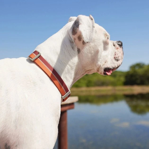 Frisco Outdoor Two Tone Waterproof Stinkproof PVC Harness, Flamepoint Orange, Medium, Neck: 16 to 22-in, Girth: 19 to 29-in + Dog Collar, Flamepoint Orange, Medium - Neck: 14½-20-in, Width: 3/4-in 11 Frisco Outdoor Two Tone Waterproof Stinkproof PVC Harness, Flamepoint Orange, Medium, Neck: 16 to 22-in, Girth: 19 to 29-in + Dog Collar, Flamepoint Orange, Medium - Neck: 14½-20-in, Width: 3/4-in - Image 9