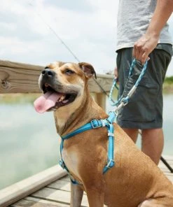 Frisco Outdoor Two Tone Waterproof Stinkproof PVC Harness, River Blue, Large, Neck: 19 to 27-in, Girth: 23 to 36-in + Dog Collar, River Blue, Large, Neck: 18 ½- 26-in, Width: 1-in -Frisco Sales 2024 319390 PT4. SY630 V1631154372