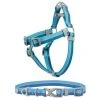 Frisco Outdoor Two Tone Waterproof Stinkproof PVC Harness, River Blue, Small, Neck: 14 to 19-in, Girth: 16 to 23-in + Dog Collar, River Blue, Small - Neck: 10½-14-in, Width: 5/8-in -Frisco Sales 2024 319394 MAIN. SY630 V1631154990