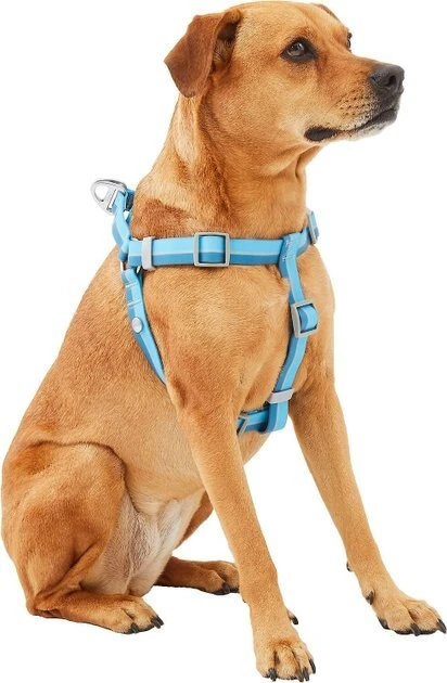 Frisco Outdoor Two Tone Waterproof Stinkproof PVC Harness, River Blue,Extra Large, Neck: 22 to 33-in, Girth: 32 to 44-in + Outdoor Two Tone Waterproof Stinkproof PVC Harness, River Blue, Large, Neck: 19 to 27-in, Girth: 23 to 36-in Frisco Outdoor Two Tone Waterproof Stinkproof PVC Harness, River Blue,Extra Large, Neck: 22 to 33-in, Girth: 32 to 44-in + Outdoor Two Tone Waterproof Stinkproof PVC Harness, River Blue, Large, Neck: 19 to 27-in, Girth: 23 to 36-in -Frisco Sales 2024 319396 PT2. SY630 V1630624884