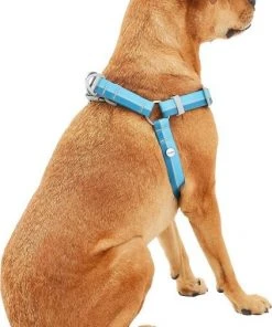 Frisco Outdoor Two Tone Waterproof Stinkproof PVC Harness, River Blue,Extra Large, Neck: 22 to 33-in, Girth: 32 to 44-in + Outdoor Two Tone Waterproof Stinkproof PVC Harness, River Blue, Large, Neck: 19 to 27-in, Girth: 23 to 36-in 5 Frisco Outdoor Two Tone Waterproof Stinkproof PVC Harness, River Blue,Extra Large, Neck: 22 to 33-in, Girth: 32 to 44-in + Outdoor Two Tone Waterproof Stinkproof PVC Harness, River Blue, Large, Neck: 19 to 27-in, Girth: 23 to 36-in -Frisco Sales 2024 319396 PT3. SY630 V1630623399