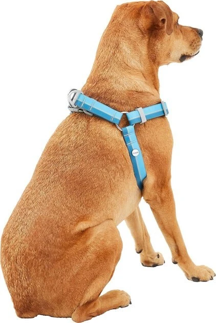 Frisco Outdoor Two Tone Waterproof Stinkproof PVC Harness, River Blue,Extra Large, Neck: 22 to 33-in, Girth: 32 to 44-in + Outdoor Two Tone Waterproof Stinkproof PVC Harness, River Blue, Large, Neck: 19 to 27-in, Girth: 23 to 36-in Frisco Outdoor Two Tone Waterproof Stinkproof PVC Harness, River Blue,Extra Large, Neck: 22 to 33-in, Girth: 32 to 44-in + Outdoor Two Tone Waterproof Stinkproof PVC Harness, River Blue, Large, Neck: 19 to 27-in, Girth: 23 to 36-in -Frisco Sales 2024 319396 PT3. SY630 V1630623399