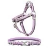 Frisco Outdoor Two Tone Waterproof Stinkproof PVC Harness, Shadow Purple, Medium, Neck: 16 to 22-in, Girth: 19 to 29-in + Dog Collar, Boysenberry Purple, Medium - Neck: 14½-20-in, Width: 3/4-in