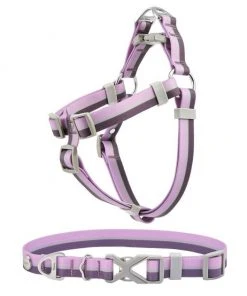Frisco Outdoor Two Tone Waterproof Stinkproof PVC Harness, Shadow Purple, Medium, Neck: 16 to 22-in, Girth: 19 to 29-in + Dog Collar, Boysenberry Purple, Medium - Neck: 14½-20-in, Width: 3/4-in