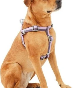 Frisco Outdoor Two Tone Waterproof Stinkproof PVC Harness, Shadow Purple, Medium, Neck: 16 to 22-in, Girth: 19 to 29-in + Dog Collar, Boysenberry Purple, Medium - Neck: 14½-20-in, Width: 3/4-in -Frisco Sales 2024 319402 PT2. SY630 V1631139406