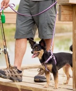 Frisco Outdoor Two Tone Waterproof Stinkproof PVC Harness, Shadow Purple, Medium, Neck: 16 to 22-in, Girth: 19 to 29-in + Dog Collar, Boysenberry Purple, Medium - Neck: 14½-20-in, Width: 3/4-in -Frisco Sales 2024 319402 PT4. SY630 V1631153177