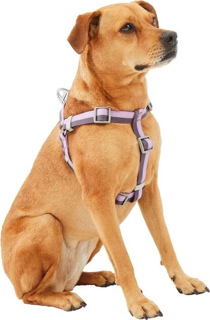 Frisco Outdoor Two Tone Waterproof Stinkproof PVC Harness, Shadow Purple, Small, Neck: 14 to 19-in, Girth: 16 to 23-in + Dog Collar, Boysenberry Purple, Small - Neck: 10½-14-in, Width: 5/8-in 5 Frisco Outdoor Two Tone Waterproof Stinkproof PVC Harness, Shadow Purple, Small, Neck: 14 to 19-in, Girth: 16 to 23-in + Dog Collar, Boysenberry Purple, Small - Neck: 10½-14-in, Width: 5/8-in - Image 3
