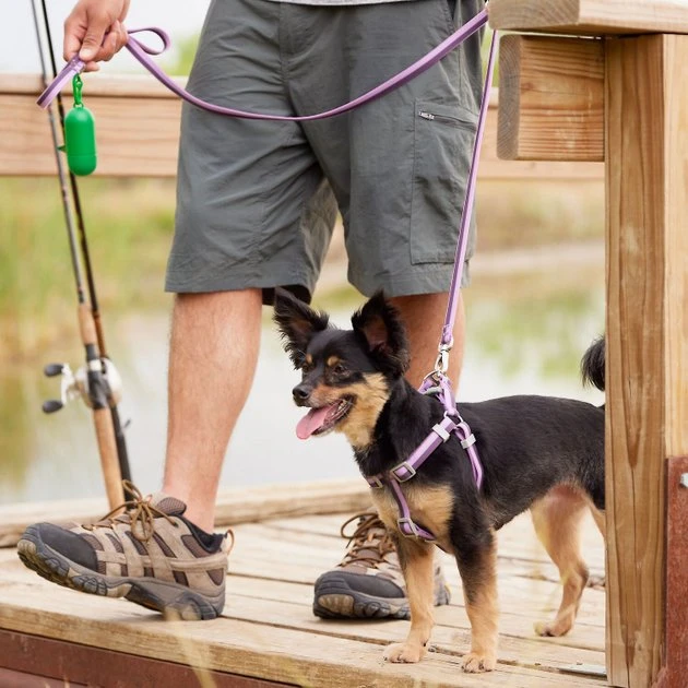 Frisco Outdoor Two Tone Waterproof Stinkproof PVC Harness, Shadow Purple, Small, Neck: 14 to 19-in, Girth: 16 to 23-in + Dog Collar, Boysenberry Purple, Small - Neck: 10½-14-in, Width: 5/8-in 7 Frisco Outdoor Two Tone Waterproof Stinkproof PVC Harness, Shadow Purple, Small, Neck: 14 to 19-in, Girth: 16 to 23-in + Dog Collar, Boysenberry Purple, Small - Neck: 10½-14-in, Width: 5/8-in - Image 5