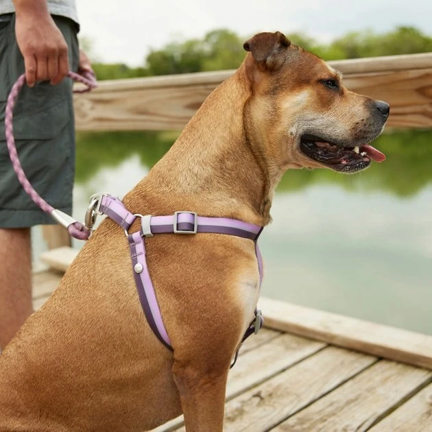 Frisco Outdoor Two Tone Waterproof Stinkproof PVC Harness, Shadow Purple,Extra Large, Neck: 22 to 33-in, Girth: 32 to 44-in + Dog Leash, Boysenberry Purple, Large - Length: 6-ft, Width: 1-in 8 Frisco Outdoor Two Tone Waterproof Stinkproof PVC Harness, Shadow Purple,Extra Large, Neck: 22 to 33-in, Girth: 32 to 44-in + Dog Leash, Boysenberry Purple, Large - Length: 6-ft, Width: 1-in - Image 6