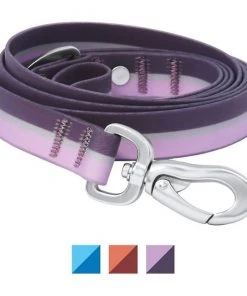 Frisco Outdoor Two Toned Waterproof Stink Proof PVC Collar, Boysenberry Purple, Small - Neck: 10½14-in, Width: 5/8-in + Dog Leash, Boysenberry Purple, Small - Length: 6-ft, Width: 5/8-in -Frisco Sales 2024 319416 PT5. SY630 V1631157082