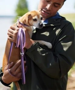 Frisco Outdoor Two Toned Waterproof Stink Proof PVC Collar, Boysenberry Purple, Small - Neck: 10½14-in, Width: 5/8-in + Dog Leash, Boysenberry Purple, Small - Length: 6-ft, Width: 5/8-in -Frisco Sales 2024 319416 PT7. SY630 V1631150178