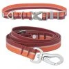 Frisco Outdoor Two Toned Waterproof Stink Proof PVC Collar, Flamepoint Orange, Large, Neck: 18 ½ 26-in, Width: 1-in + Dog Leash, Sunset Orange, Large - Length: 6-ft, Width: 1-in 2 Frisco Outdoor Two Toned Waterproof Stink Proof PVC Collar, Flamepoint Orange, Large, Neck: 18 ½ 26-in, Width: 1-in + Dog Leash, Sunset Orange, Large - Length: 6-ft, Width: 1-in -Frisco Sales 2024 319420 MAIN. SY630 V1631149310