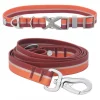 Frisco Outdoor Two Toned Waterproof Stink Proof PVC Collar, Flamepoint Orange, Medium - Neck: 14½20-in, Width: 3/4-in + Dog Leash, Sunset Orange, Medium - Length: 6-ft, Width: 3/4-in 2 Frisco Outdoor Two Toned Waterproof Stink Proof PVC Collar, Flamepoint Orange, Medium - Neck: 14½20-in, Width: 3/4-in + Dog Leash, Sunset Orange, Medium - Length: 6-ft, Width: 3/4-in -Frisco Sales 2024 319422 MAIN. SY630 V1631143574