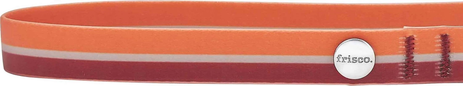 Frisco Outdoor Two Toned Waterproof Stink Proof PVC Collar, Flamepoint Orange, Medium - Neck: 14½20-in, Width: 3/4-in + Dog Leash, Sunset Orange, Medium - Length: 6-ft, Width: 3/4-in 5 Frisco Outdoor Two Toned Waterproof Stink Proof PVC Collar, Flamepoint Orange, Medium - Neck: 14½20-in, Width: 3/4-in + Dog Leash, Sunset Orange, Medium - Length: 6-ft, Width: 3/4-in - Image 3