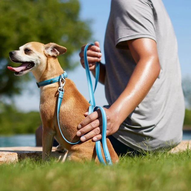Frisco Outdoor Two Toned Waterproof Stink Proof PVC Collar, River Blue, Medium - Neck: 14½20-in, Width: 3/4-in + Dog Leash, River Blue, Medium - Length: 6-ft, Width: 3/4-in 10 Frisco Outdoor Two Toned Waterproof Stink Proof PVC Collar, River Blue, Medium - Neck: 14½20-in, Width: 3/4-in + Dog Leash, River Blue, Medium - Length: 6-ft, Width: 3/4-in - Image 8