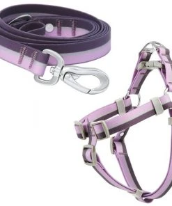 Frisco Outdoor Two Toned Waterproof Stink Proof PVC Leash, Boysenberry Purple, Large - Length: 6-ft, Width: 1-in + Dog Harness, Shadow Purple, Large, Neck: 19 to 27-in, Girth: 23 to 36-in