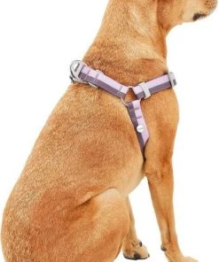 Frisco Outdoor Two Toned Waterproof Stink Proof PVC Leash, Boysenberry Purple, Small - Length: 6-ft, Width: 5/8-in + Dog Harness, Shadow Purple, Small, Neck: 14 to 19-in, Girth: 16 to 23-in -Frisco Sales 2024 319438 PT6. SY630 V1631157074