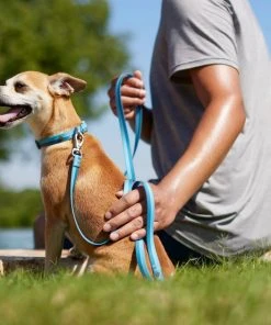Frisco Outdoor Two Toned Waterproof Stink Proof PVC Leash, River Blue, Large - Length: 6-ft, Width: 1-in + Dog Harness, River Blue, Large, Neck: 19 to 27-in, Girth: 23 to 36-in 14 Frisco Outdoor Two Toned Waterproof Stink Proof PVC Leash, River Blue, Large - Length: 6-ft, Width: 1-in + Dog Harness, River Blue, Large, Neck: 19 to 27-in, Girth: 23 to 36-in -Frisco Sales 2024 319440 PT3. SY630 V1631155296