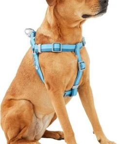 Frisco Outdoor Two Toned Waterproof Stink Proof PVC Leash, River Blue, Large - Length: 6-ft, Width: 1-in + Dog Harness, River Blue, Large, Neck: 19 to 27-in, Girth: 23 to 36-in 16 Frisco Outdoor Two Toned Waterproof Stink Proof PVC Leash, River Blue, Large - Length: 6-ft, Width: 1-in + Dog Harness, River Blue, Large, Neck: 19 to 27-in, Girth: 23 to 36-in -Frisco Sales 2024 319440 PT5. SY630 V1631142068