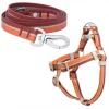 Frisco Outdoor Two Toned Waterproof Stink Proof PVC Leash, Sunset Orange, Large - Length: 6-ft, Width: 1-in + Dog Harness, Flamepoint Orange, Large, Neck: 19 to 27-in, Girth: 23 to 36-in 2 Frisco Outdoor Two Toned Waterproof Stink Proof PVC Leash, Sunset Orange, Large - Length: 6-ft, Width: 1-in + Dog Harness, Flamepoint Orange, Large, Neck: 19 to 27-in, Girth: 23 to 36-in -Frisco Sales 2024 319446 MAIN. SY630 V1631149006