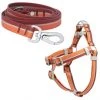 Frisco Outdoor Two Toned Waterproof Stink Proof PVC Leash, Sunset Orange, Medium - Length: 6-ft, Width: 3/4-in + Dog Harness, Flamepoint Orange, Medium, Neck: 16 to 22-in, Girth: 19 to 29-in