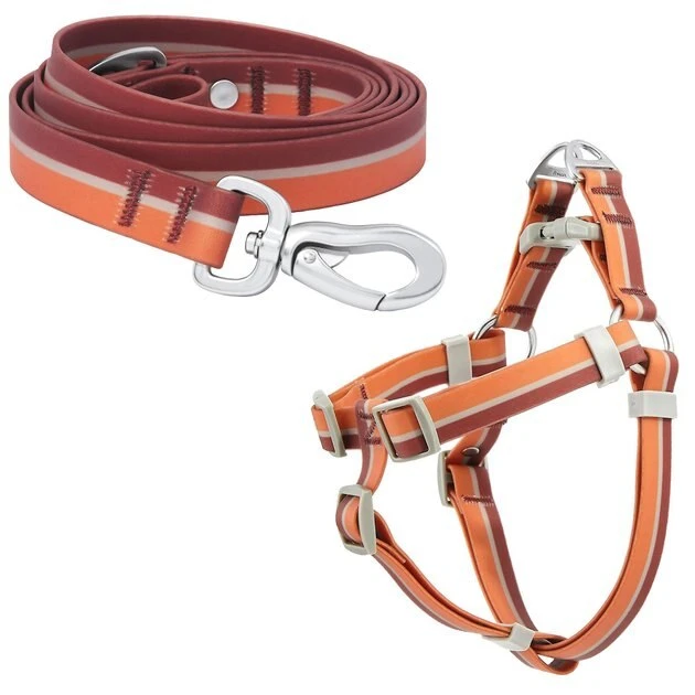 Frisco Outdoor Two Toned Waterproof Stink Proof PVC Leash, Sunset Orange, Medium - Length: 6-ft, Width: 3/4-in + Dog Harness, Flamepoint Orange, Medium, Neck: 16 to 22-in, Girth: 19 to 29-in 3 Frisco Outdoor Two Toned Waterproof Stink Proof PVC Leash, Sunset Orange, Medium - Length: 6-ft, Width: 3/4-in + Dog Harness, Flamepoint Orange, Medium, Neck: 16 to 22-in, Girth: 19 to 29-in