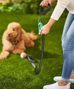 Frisco Traffic Leash with Padded Handles & Poop Bag Dispenser, Black, Length: 4-ft, Width: 1-in + Refill Dog Poop Bags, Scented, 120 count 15 Frisco Traffic Leash with Padded Handles & Poop Bag Dispenser, Black, Length: 4-ft, Width: 1-in + Refill Dog Poop Bags, Scented, 120 count -Frisco Sales 2024 319510 PT4. SY630 V1630629373