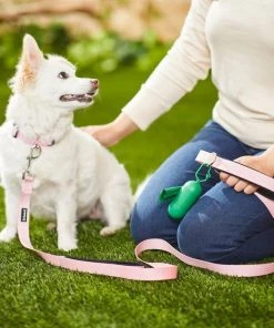 Frisco Traffic Leash with Padded Handles & Poop Bag Dispenser, Pink, Length: 4-ft, Width: 1-in + Refill Dog Poop Bags, Scented, 120 count -Frisco Sales 2024 319518 PT4. SY630 V1630617099