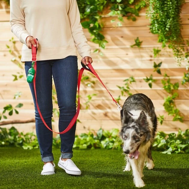 Frisco Traffic Leash with Padded Handles & Poop Bag Dispenser, Red, Length: 4-ft, Width: 1-in + Refill Dog Poop Bags, Scented, 120 count 7 Frisco Traffic Leash with Padded Handles & Poop Bag Dispenser, Red, Length: 4-ft, Width: 1-in + Refill Dog Poop Bags, Scented, 120 count - Image 5