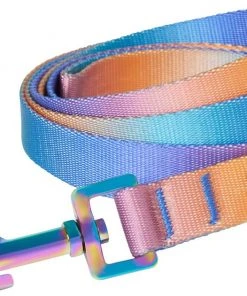 Frisco Purple Ombre Style Dog Leash