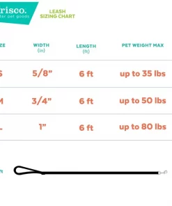 Frisco Purple Ombre Style Dog Leash -Frisco Sales 2024 324514 PT2. SY630 V1642518892