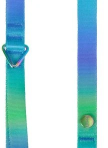 Frisco Green Ombre Style Dog Leash -Frisco Sales 2024 324518 PT1. SY630 V1642518155