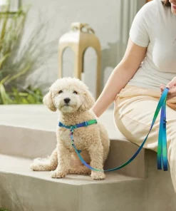 Frisco Green Ombre Style Dog Leash -Frisco Sales 2024 324518 PT4. SY630 V1642518628
