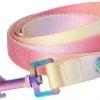 Frisco Pink Ombre Style Dog Leash -Frisco Sales 2024 324523 MAIN. SY630 V1642519775