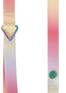 Frisco Pink Ombre Style Dog Leash -Frisco Sales 2024 324523 PT1. SY630 V1642518735