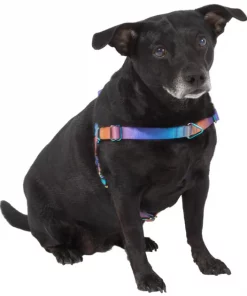 Frisco Purple Ombre Style Dog Harness 9 Frisco Purple Ombre Style Dog Harness -Frisco Sales 2024 324526 PT2. SY630 V1642519692