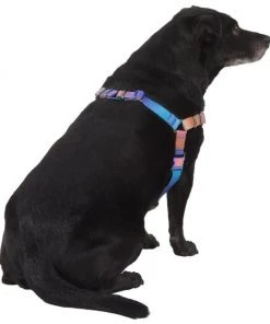 Frisco Purple Ombre Style Dog Harness 10 Frisco Purple Ombre Style Dog Harness -Frisco Sales 2024 324526 PT3. SY630 V1642519104