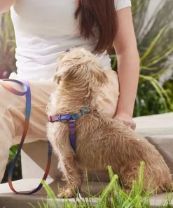 Frisco Purple Ombre Style Dog Harness 11 Frisco Purple Ombre Style Dog Harness -Frisco Sales 2024 324526 PT4. SY630 V1642518470